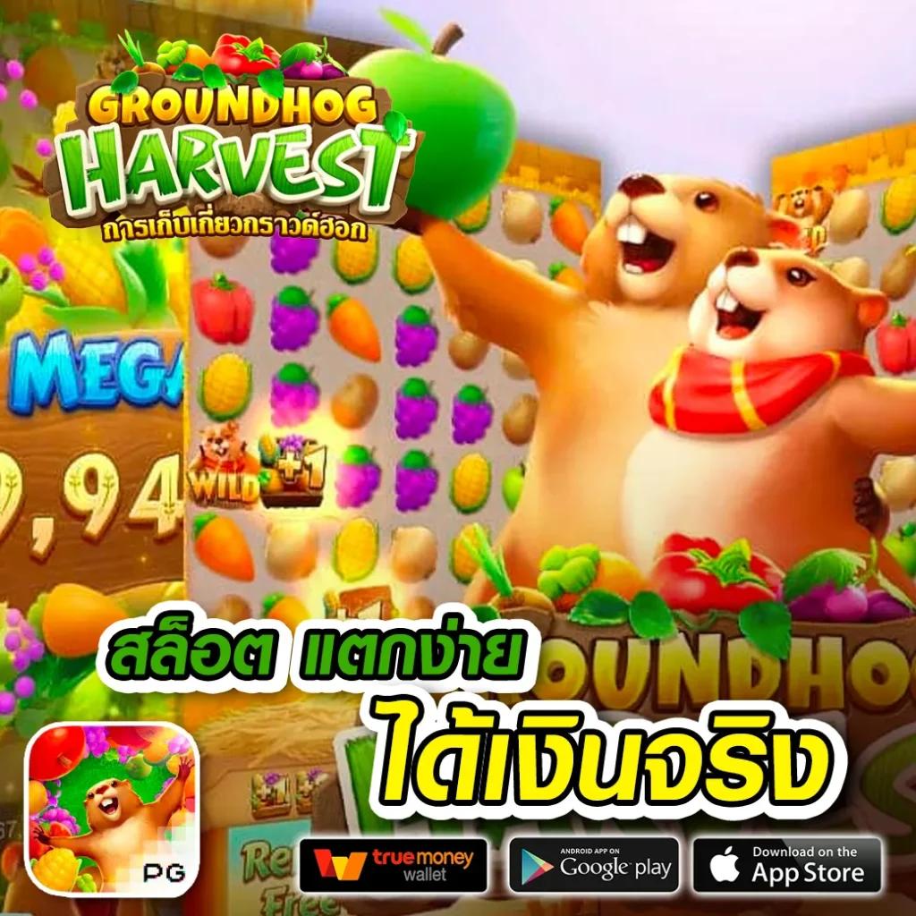 bmb168 คาสิโนเว็บตรงระดับพรีเมียม คอเกมไว้วางใจที่สุด