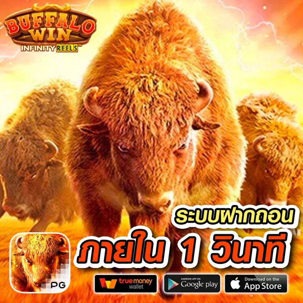 เข้าสู่ระบบ PUSS888 คาสิโนยอดนิยม เดิมพันง่าย โบนัสแตกบ่อย