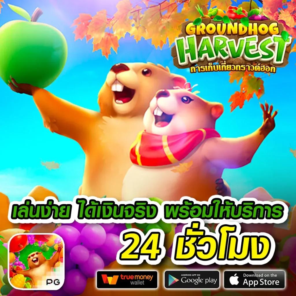เว็บบาคาร่าที่คนเล่นเยอะที่สุด ระบบทันสมัย สมัครง่าย เล่นได้ไม่มีสะดุด