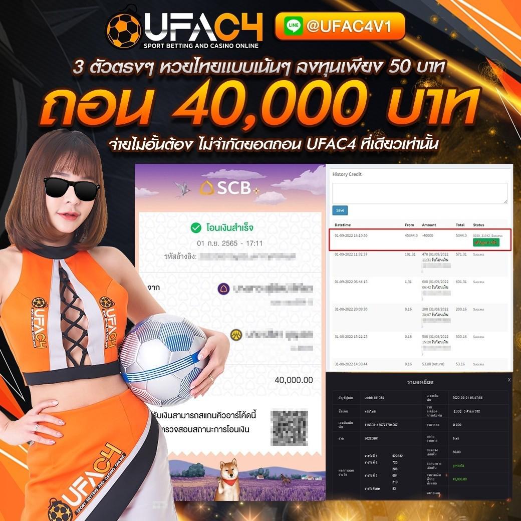 เวฟหมีชมพู คาสิโนครบวงจร เล่นง่าย ได้เงินจริง 2024